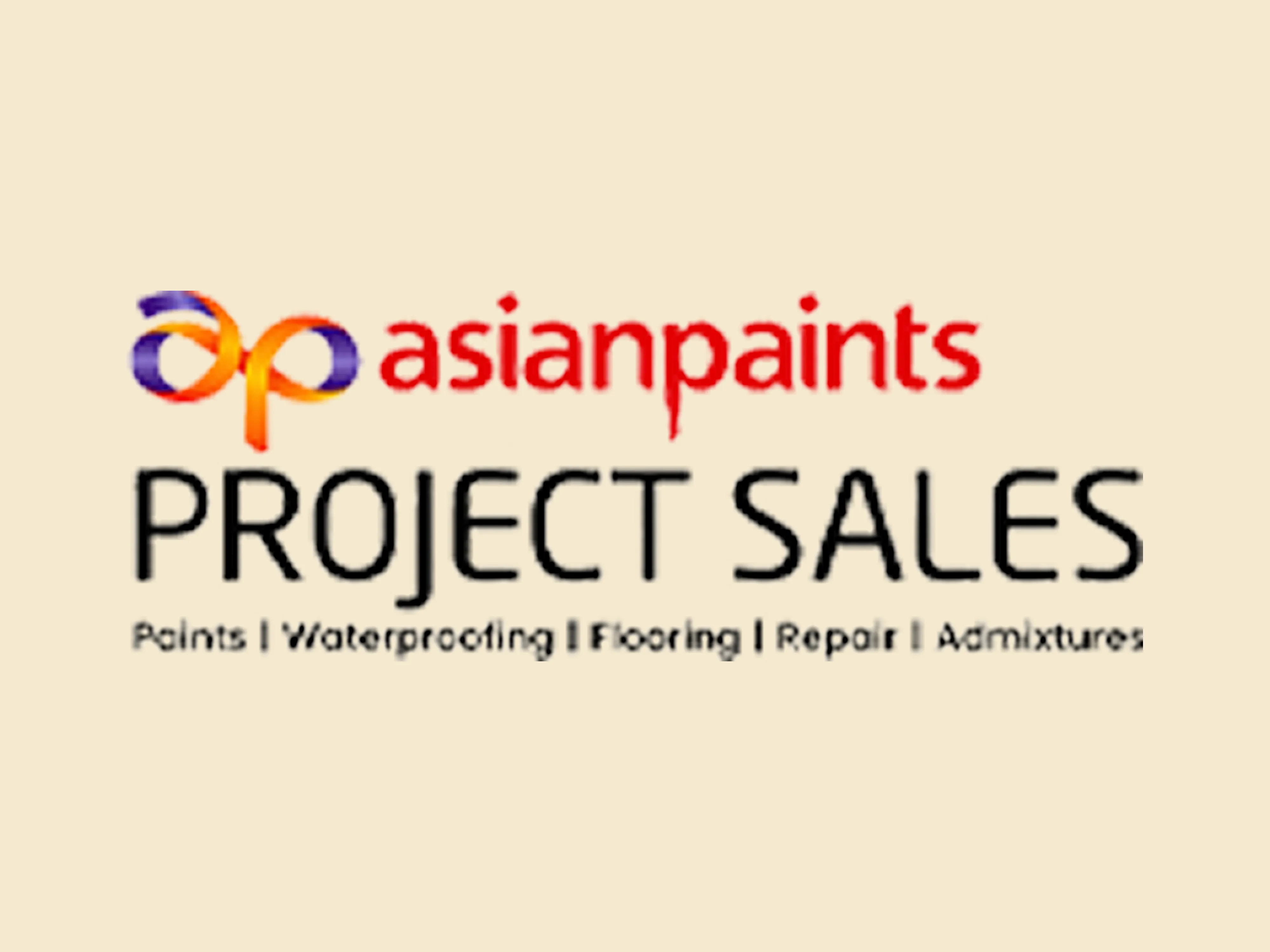 Asian Paints Project Sales